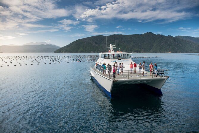 Seafood Odyssea Marlborough Sounds Cruise from Picton - An In-Depth Look at the Marlborough Sounds Seafood Cruise