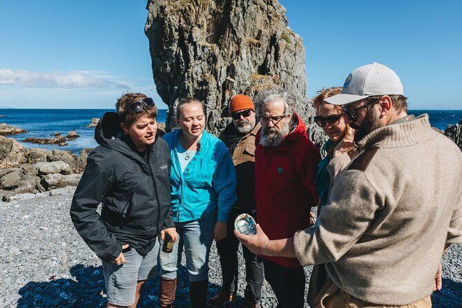 Seal Coast Safari - Exclusive access to Wellington's secret coast - Who Will Love This Tour?