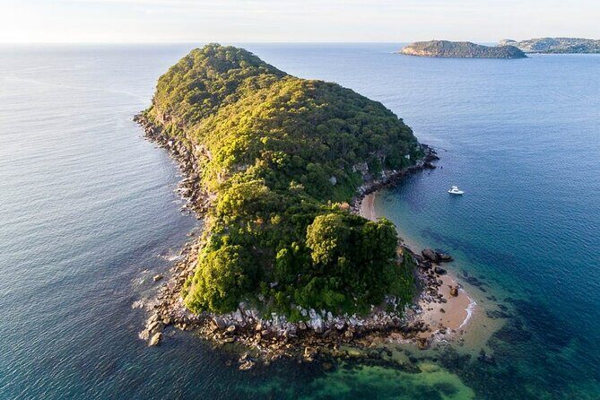 Seal & Dolphin Adventure - Experience the Charm of the Seal & Dolphin Adventure in Broken Bay