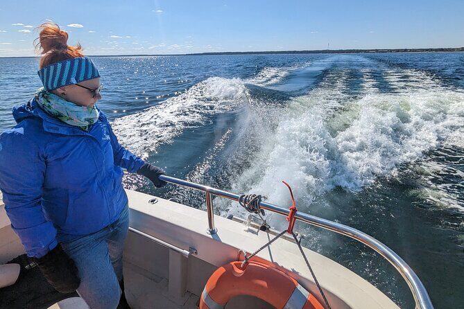 Seal-Watching Tour near Malusi Islands - Key Points