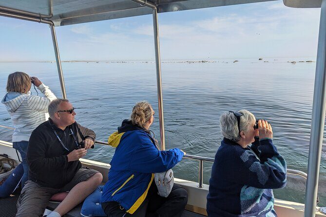 Seal-Watching Tour near Malusi Islands - Why This Tour Stands Out