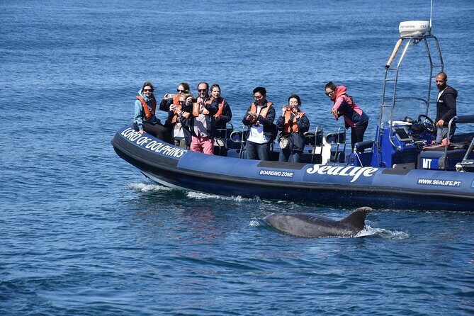 Sealife Sea Safari, Dolphin Watching with Marine Biologist's Lagos - The Duration and Itinerary
