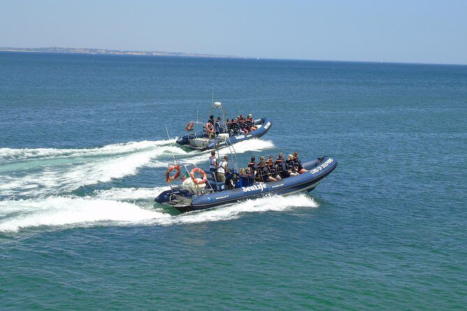 Sealife Sea Safari, Dolphin Watching with Marine Biologist's Lagos - What Reviewers Say