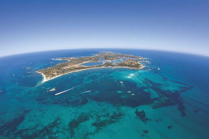 Sealink Bike & Ferry Package from Fremantle - A Deep Dive into the Experience