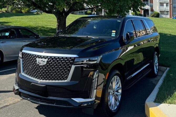 Seamless Transfer Services in Orlando - A Deep Dive into Orlando’s Seamless Transfer Experience