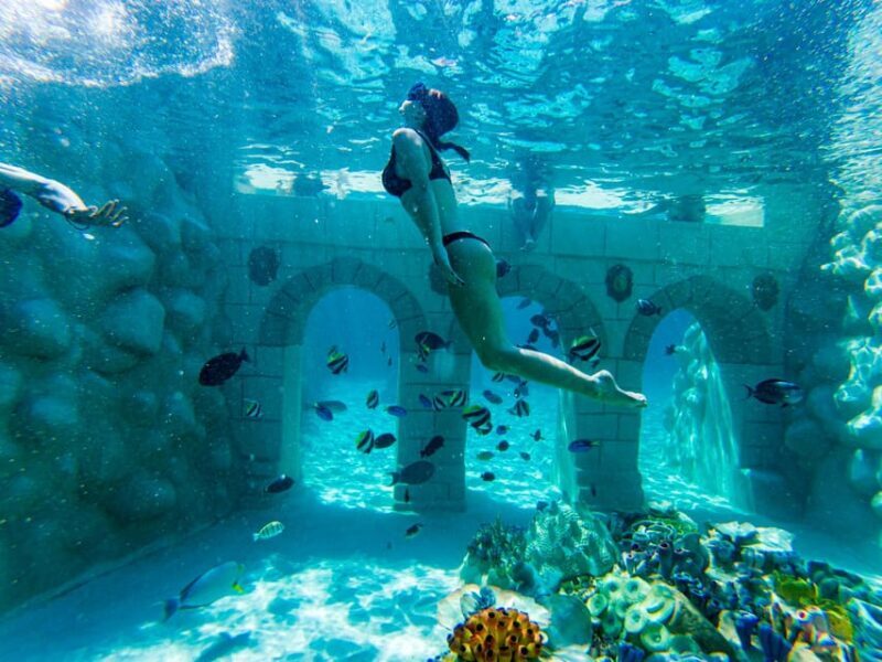 Seapark: Swimming in Pool Aquarium with Authentic Creatures - A Detailed Look at Sealanya Seapark