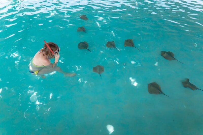 Seapark: Swimming in Pool Aquarium with Authentic Creatures - Final Words