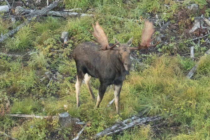 Seaplane Fly & Dine Rangeley Maine - Final Thoughts: Is This Experience Worth It?