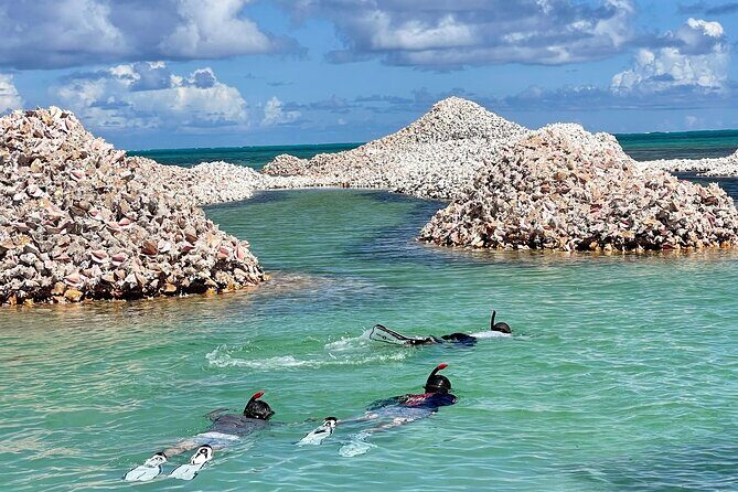 "Seas the Day!" Hop to iconic BVI islands and amazing snorkeling. - FAQ