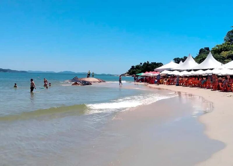 Seaside Cabo Frio: Private City Tour and Natural Paradises - Who Will Love This Tour?