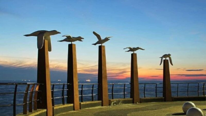 Seaside Charms & Eco Discoveries: Morib to Bagan Lalang - Exploring the Coastal and Eco-Highlights of Selangor