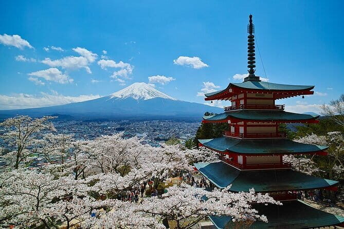 Season Special: Private Mt. Fuji Shibazakura Spring Tour - What’s Included and What’s Not