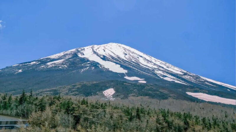 [Seasonal Limited] Mt. Fuji 5th Station &Hot Spring Day Tour - Real Traveler Insights