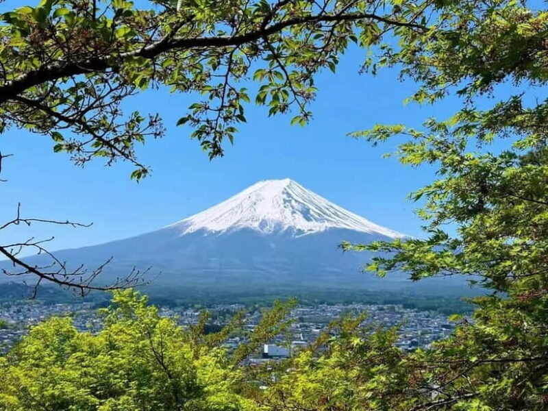 [Seasonal Limited] Mt. Fuji 5th Station &Hot Spring Day Tour - Who Will Love This Tour?