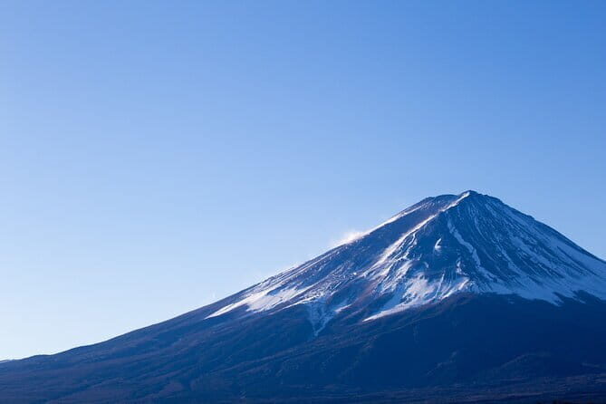 Seasonal Mt. Fuji Scenic Views, Fruit Picking and Ropeway Ride! - Key Points
