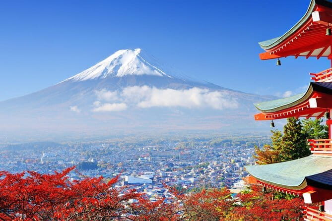 Seasonal Mt. Fuji Scenic Views, Fruit Picking and Ropeway Ride! - Final Thoughts: Is This Tour Right for You?
