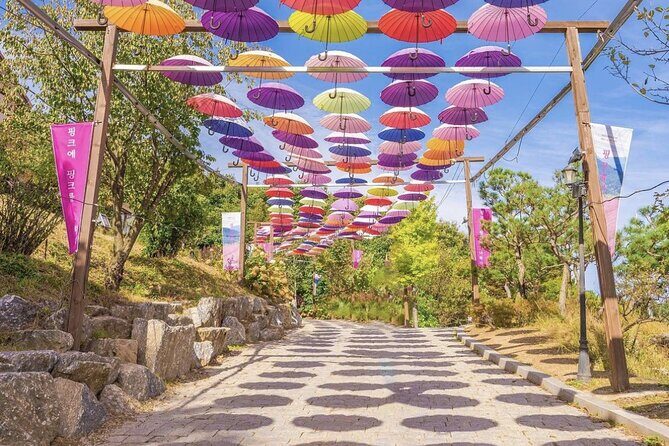 Seasonal Pocheon Full Day Tour with Apple Farm Experience - In-Depth Look at the Experience