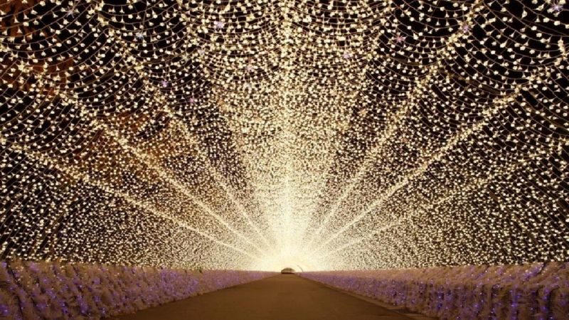 Seasonal Strawberry Picking, Nabana no Sato Illuminations & Outlet Shopping Tour from Osaka - A day that moves from strawberries to winter lights