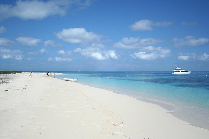 Seastar Luxury Outer Great Barrier Reef Island and Reef Tour - Practical Details: What to Expect