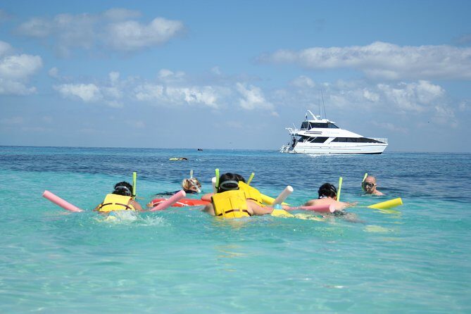 Seastar Luxury Outer Great Barrier Reef Island and Reef Tour - Who Would Love This Tour?