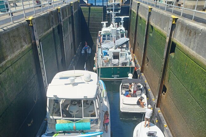 Seattle 2 Hour City Tour - Who Should Consider This Tour?