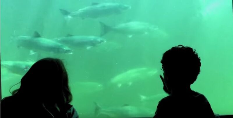 Seattle: 3 Hour Emerald City Standard Bike Tour - A Closer Look at the Seattle Bike Tour Experience