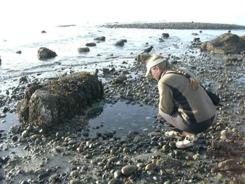 Seattle: Alki Lighthouse Sea Kayak Tour - FAQ