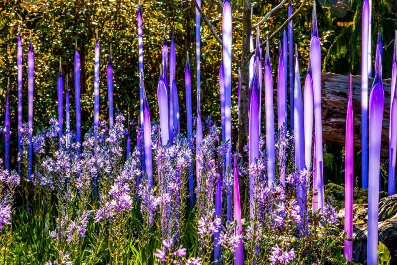 Seattle: Chihuly Garden and Glass Entry Ticket - Practical Tips for Your Visit