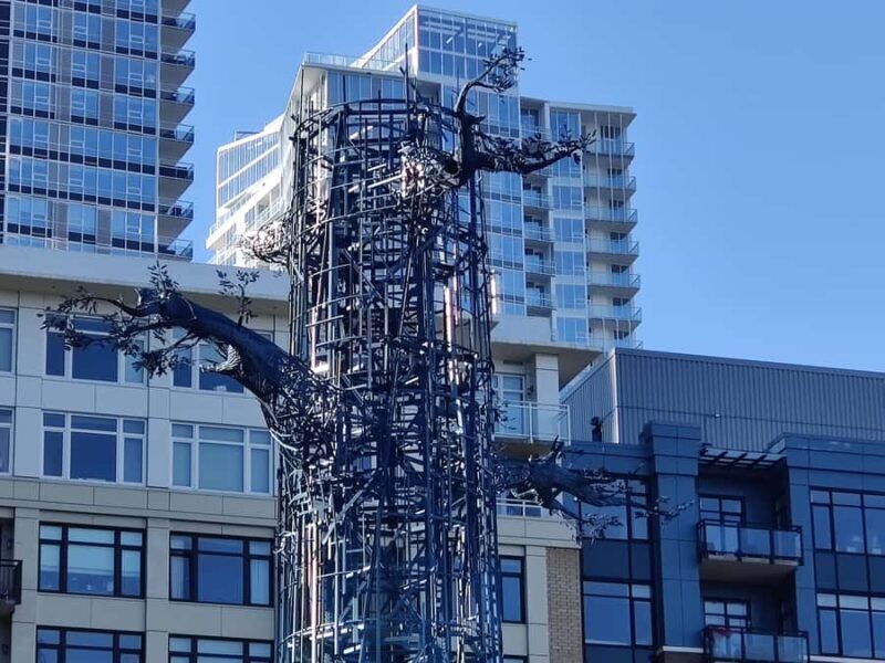 Seattle: City's Longest Historic & Cultural Walking Tour - Final Thoughts