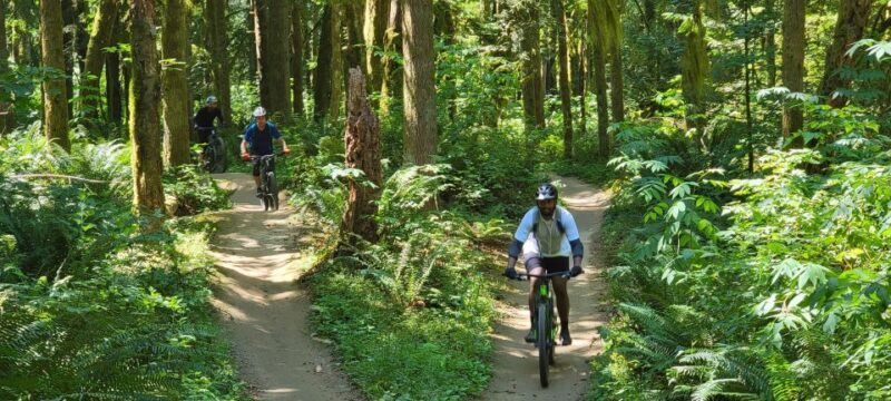 Seattle: Half Day All-Inclusive Mountain Bike Tour - Practical Tips for Your Ride