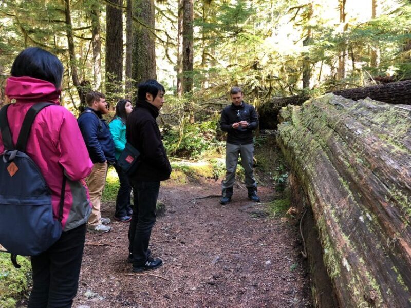 Seattle: Longmire in Mount Rainier Winter Day Tour - Exploring Mount Rainier in Winter: An Authentic Nature Escape