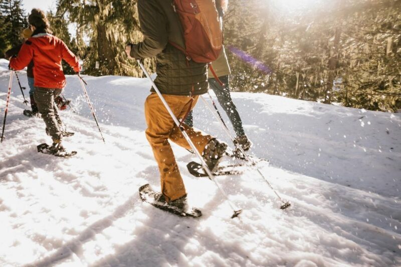 Seattle: Longmire in Mount Rainier Winter Day Tour - Final Thoughts: Why Choose This Tour?