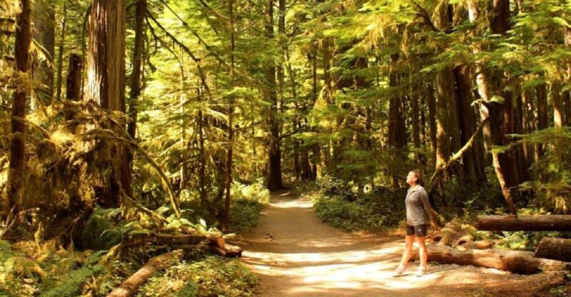 Seattle: Olympic National Park Small-Group Tour - Exploring Olympic National Park: A Natural Wonderland