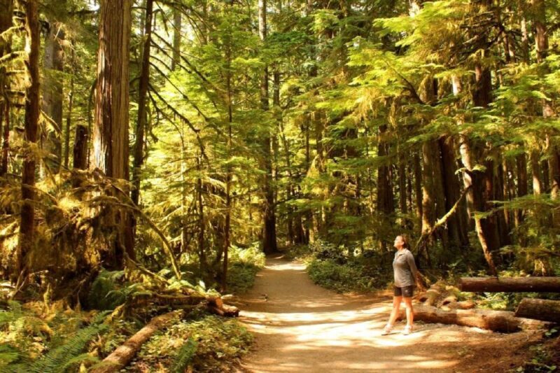 Seattle: Olympic National Park Small-Group Tour - Frequently Asked Questions