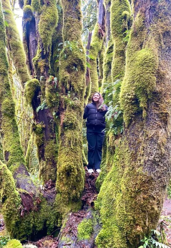 Seattle: Rainforest and Olympic National Park Highlights - Practical Tips for Your Day Trip