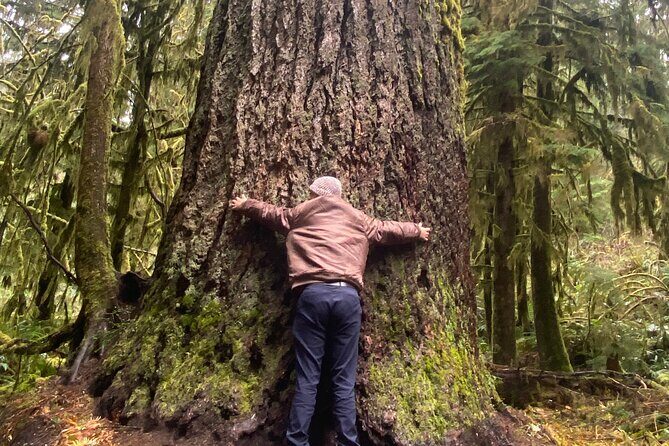 Seattle: Rainforest, Beach, and Olympic National Park Highlights - Exploring the Olympic Peninsula in a Single Day