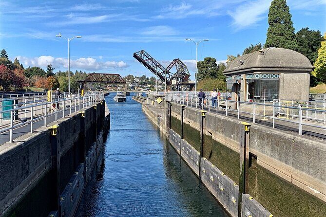 Seattle Scenic Panoramic Tour - How the Tour Feels in Practice