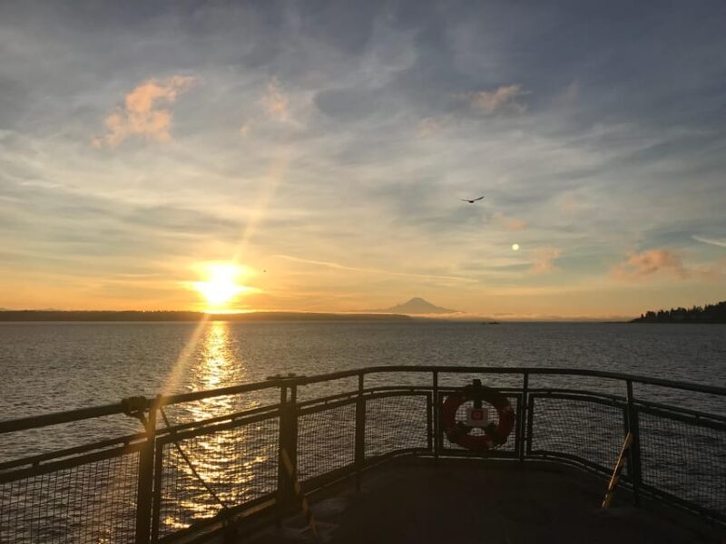 Seattle: Summer Views Cruise - Authentic Perspectives from Travelers