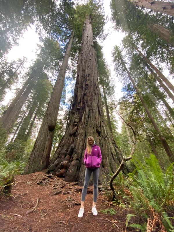 Seattle to California: National Parks and Coast Road Trip - The Sum Up: Is It Worth It?