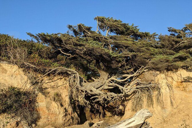 Seattle to Edmonds 4WD Private Tour - A Personal Take on the Seattle to Edmonds 4WD Private Tour