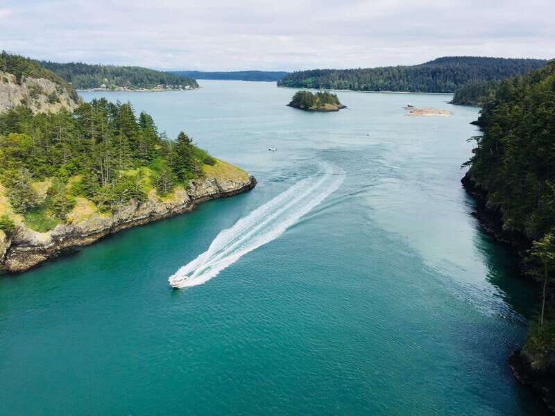 Seattle: Whidbey Island Deception Pass + Winter Birding Trip - An In-Depth Look at the Tour Experience