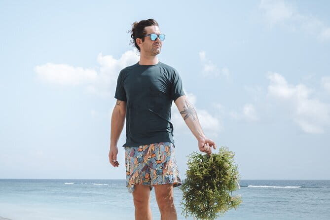 Seaweed Farming Activity and Sightseeing at Diamond Beach - Key Points