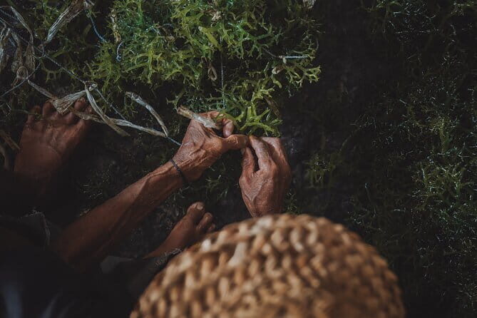 Seaweed Farming Activity and Sightseeing at Diamond Beach - Deep Dive: Why This Tour Stands Out