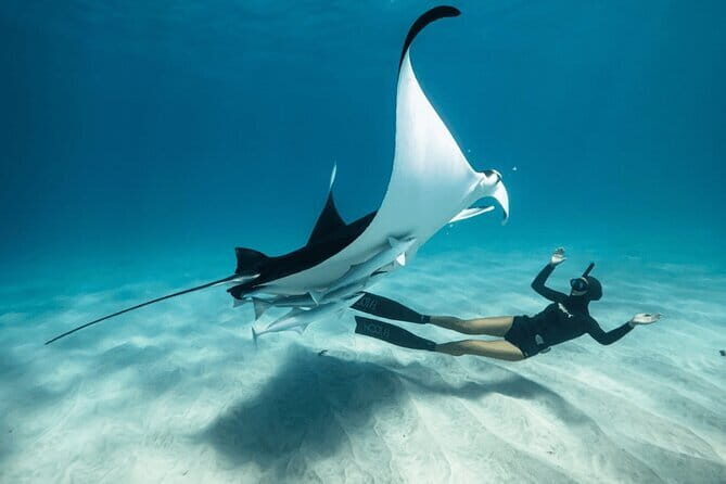 Seaweed Farming Activity and Sightseeing at Diamond Beach - Frequently Asked Questions