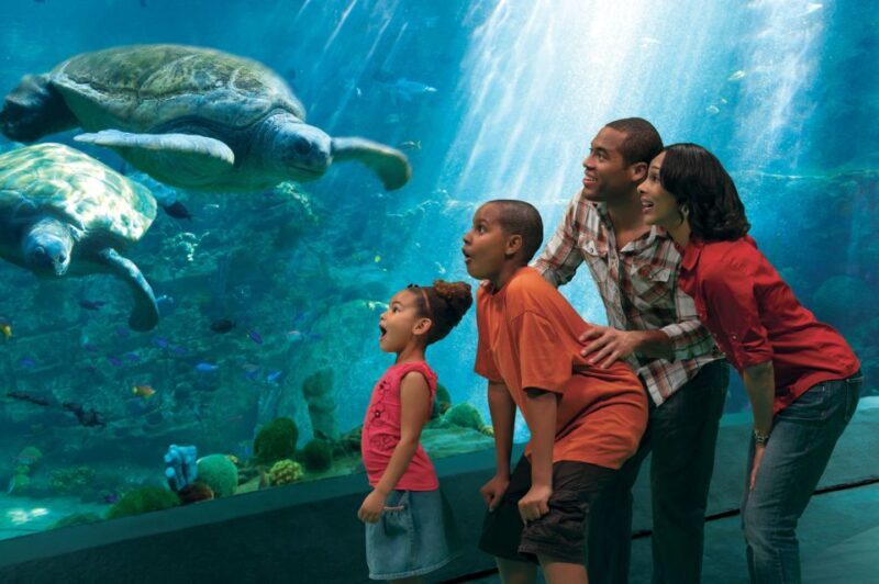 SeaWorld Orlando: Park Admission Ticket - Key Points