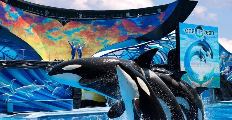 SeaWorld Orlando: Park Admission Ticket - Exploring the Park: What You’ll Encounter