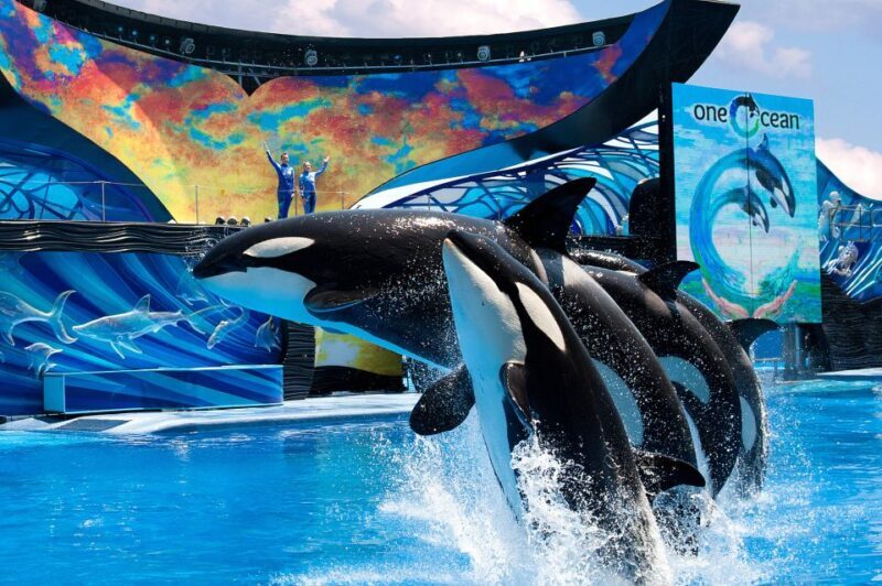 SeaWorld Orlando: Park Admission Ticket - Authentic Reviews to Guide Your Expectations