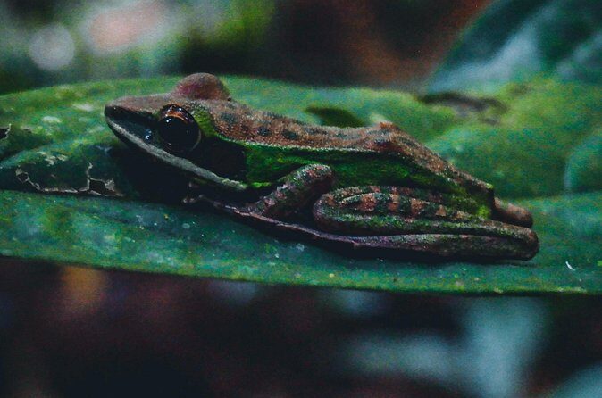 Secluded Waterfall Adventure - Final Thoughts