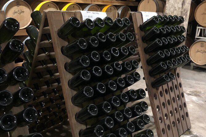 Secret Corners and Tastes of Mallorca by Private SUV Tour - Why This Tour Works Well