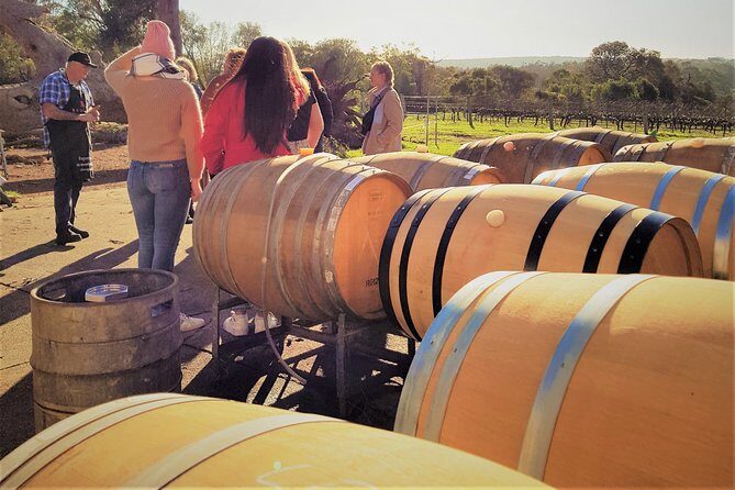 Secret Delights: Wine, Coffee, Artisan and Forest Tour - Key Points